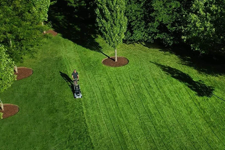 best self-propelled battery lawn mower